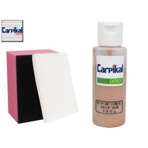 業務用 カーピカル ウォータースポット除去剤 フロントガラス用 100g