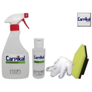 業務用 ウォータースポット除去剤 サイド・リアガラス用 100ml