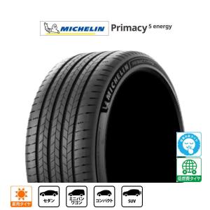 Playz BRIDGESTONE ブリヂストン PLAYZ プレイズ PX-RVII(PX-RV2) 225