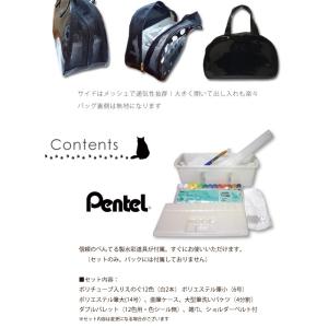 プリンセスアリス ドット×黒ネコ 絵の具バッグ...の詳細画像3