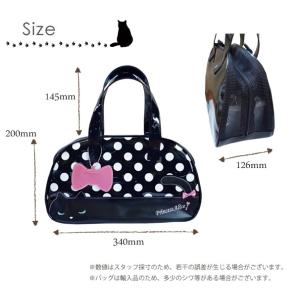 プリンセスアリス ドット×黒ネコ 絵の具バッグ...の詳細画像4