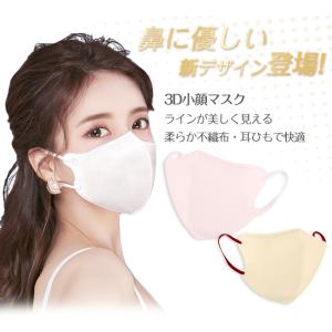 【2点10%OFF】マスク バイカラー 立体マ...の詳細画像1