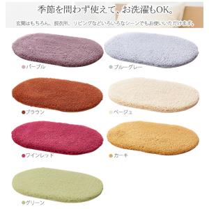 マット 玄関マット 40×60cm 洗える 泥...の詳細画像1