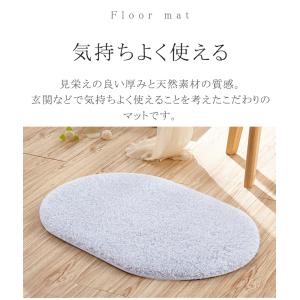 マット 玄関マット 40×60cm 洗える 泥...の詳細画像3