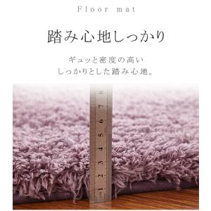 マット 玄関マット 40×60cm 洗える 泥...の詳細画像4