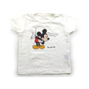 インセクトコレクション Insect Colle...の商品画像