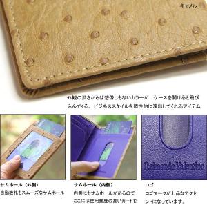 【送料無料】オーストリッチ カラーカードケース...の詳細画像1