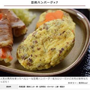 豆腐ハンバーグ ペット用品 生き物 の商品一覧 通販 Yahoo ショッピング