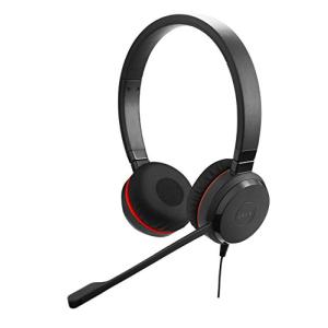 【Amazon.co.jp限定】 Jabra EVOLVE 20 MS SE ステレオ ヘッドセット 【国内正規品】 ノイズキャンセリングマイク搭載の商品画像