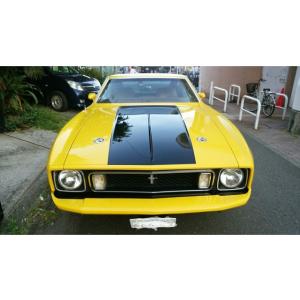 マスタングエレノア 自動車 の商品一覧 車 バイク 自転車 通販 Yahoo ショッピング