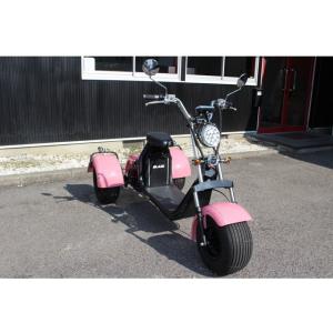 ブレイズEVトライク 三輪トライク 公道走行可・EV・車検不要・ヘルメット不要
