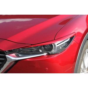日産（NISSAN） アイライン ニッサン ステージア M35(前期) タイプ1