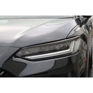 アイライン ホンダ ZR-V（LED用）RZ3,4,5,6 R5年4月〜 塗装済品 左右セット (品...