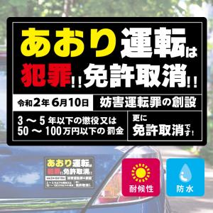 車 ステッカー シール 煽り 運転 防止 正規品 免許 取消 ドラレコ ドライブレコーダー 録画中 おもしろ 注意 強力 防水 カラー 目立つ 犯罪 防犯｜carsticker