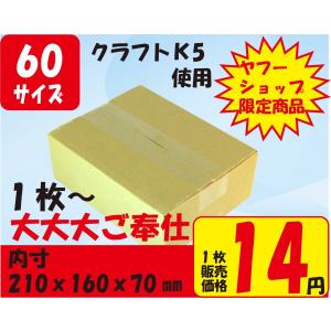 ダンボール60サイズOG-01-1枚入(内寸21...の商品画像