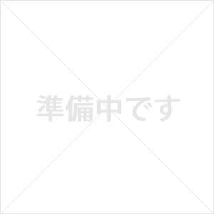 シルバーカー オリーブ ＭＶ−１００用 アンダーバスケット 松永製作所 UL-506394｜carts-kenkul