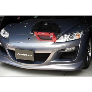 オートエクゼ オートエグゼ/スポーツインダクションボックス(エア