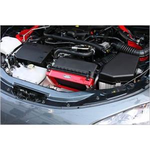 オートエクゼ オートエグゼ/スポーツインダクションボックス(エア