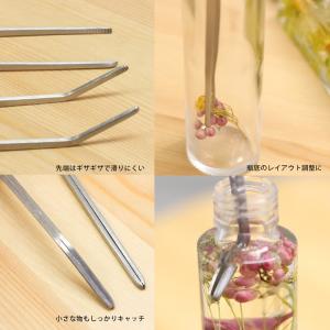 ピンセット ロング 水槽 ストレート カーブ ...の詳細画像1