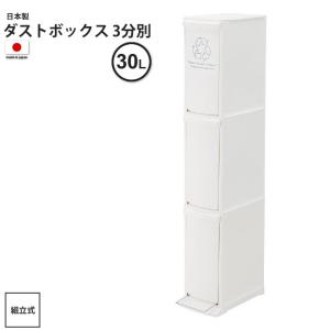 ゴミ箱 約30リットル 3分別 おしゃれ  ごみ箱 ダストボックス 分別 キッチン スリム  3D ...