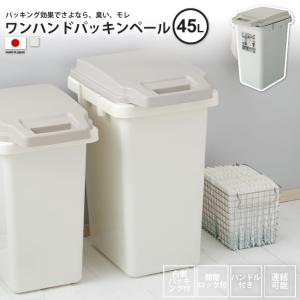 ゴミ箱 約45リットル おしゃれ ごみ箱 ダストボックス 屋外 分別 キッチン スリム ワンハンドパッキンペール45JS RSD-71