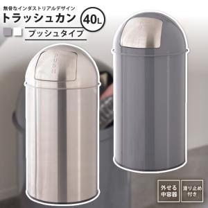 ゴミ箱 40リットル おしゃれ ごみ箱 ダストボックス プッシュ式 キッチン 分別 LFS-234 GY/SV トラッシュカン 40L
