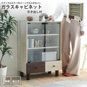 キャビネット ガラス扉 ディスプレイラック 扉付き コレクションラック
