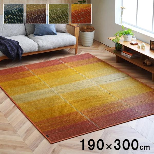 ラグ マット い草 約190 x 300cm 制菌 抗菌防臭 滑り止め 不織布 小林製薬 持続性抗菌...