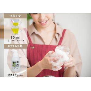 「えがおの力(旧松の力)」1L 2個セット 植...の詳細画像3