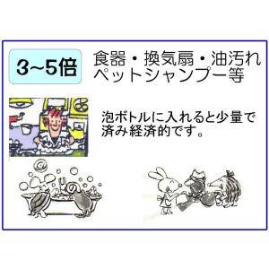 「えがおの力(旧松の力)」1L 2個セット 植...の詳細画像4