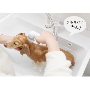 「えがおの力(旧松の力)」1L 2個セット 植...の詳細画像5
