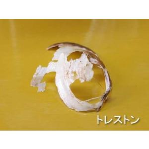 尿石除去剤トイレ洗浄剤 トレストン 1kgの詳細画像2