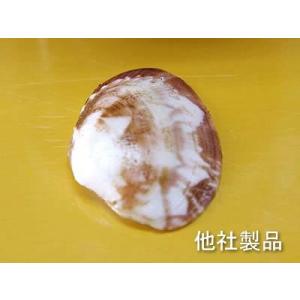 尿石除去剤トイレ洗浄剤 トレストン 1kgの詳細画像3