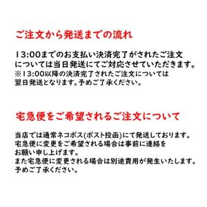 ポケットモンスター ポケモン iPhone 1...の詳細画像2