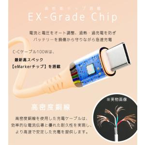 急速 PD 15-100w タイプc 充電 ケ...の詳細画像4