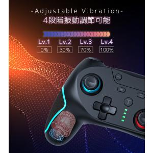 Switch / Switch2 コントローラ...の詳細画像5