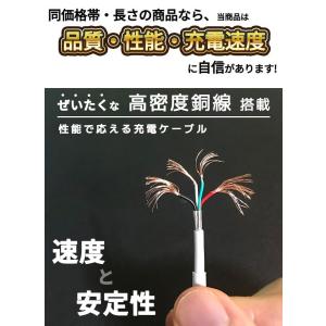 P倍!日本メーカーinklink 3in1 充...の詳細画像5