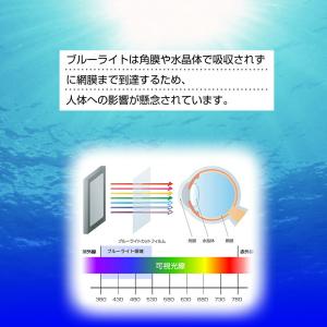 衛星携帯電話 SoftBank 501TH/s...の詳細画像4
