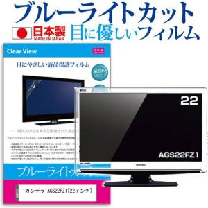 カンデラ AGS22FZ1 22インチ ブルーライトカット 反射防止 液晶 保護 フィルム｜casemania55