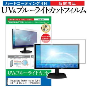 Datavideo Technologies TLM-170L / LR / LM  17.3インチ 機種で使える ブルーライトカット 反射防止 指紋防止 液晶 保護 フィルム