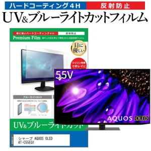 メディアフューチャー 東芝 REGZA 43Z570L (43インチ) 保護 フィルム