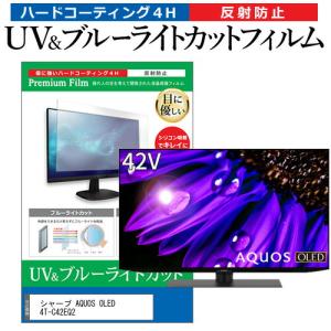 メディアフューチャー SONY BRAVIA KJ-55A9G 液晶テレビ保護パネル 55