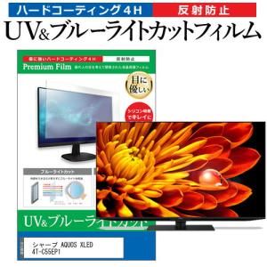 東芝 REGZA 55Z570K (55インチ) 保護 フィルム カバー シート ブルー