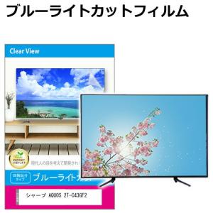 メディアフューチャー ハイセンス 50E6N [50インチ] 液晶テレビ保護