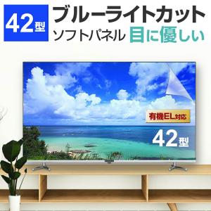 液晶テレビ保護パネル 42型 ブルーライトカット テレビ保護パネル 42インチ bravia ブラビ...