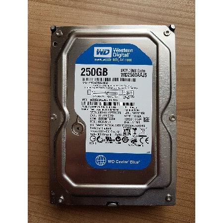 Western Digital 250 GB Caviar Blue SATA 3 Gb/s 720...