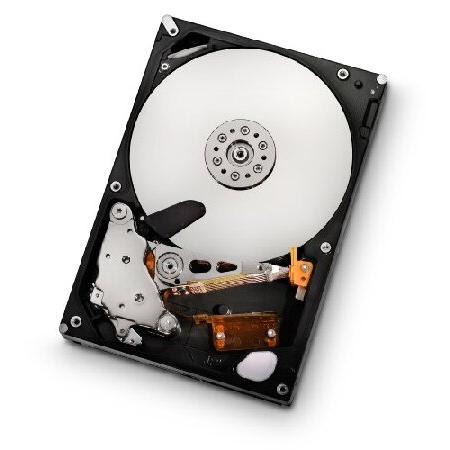 HGST Ultrastar A7K2000 3.5-Inch 2TB 7200RPM SATA I...