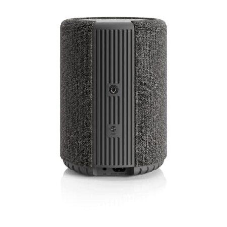 Audio Pro A10 MKII Wireless Multiroom Speaker | Wa...