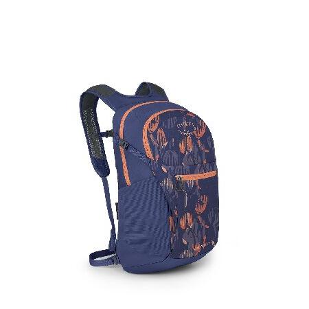 Osprey Daylite Plus Backpack One Size 並行輸入品