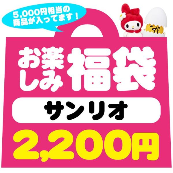 お1人様1セット限り 限定福袋・ラッピング不可 480 サンリオキャラクター福袋